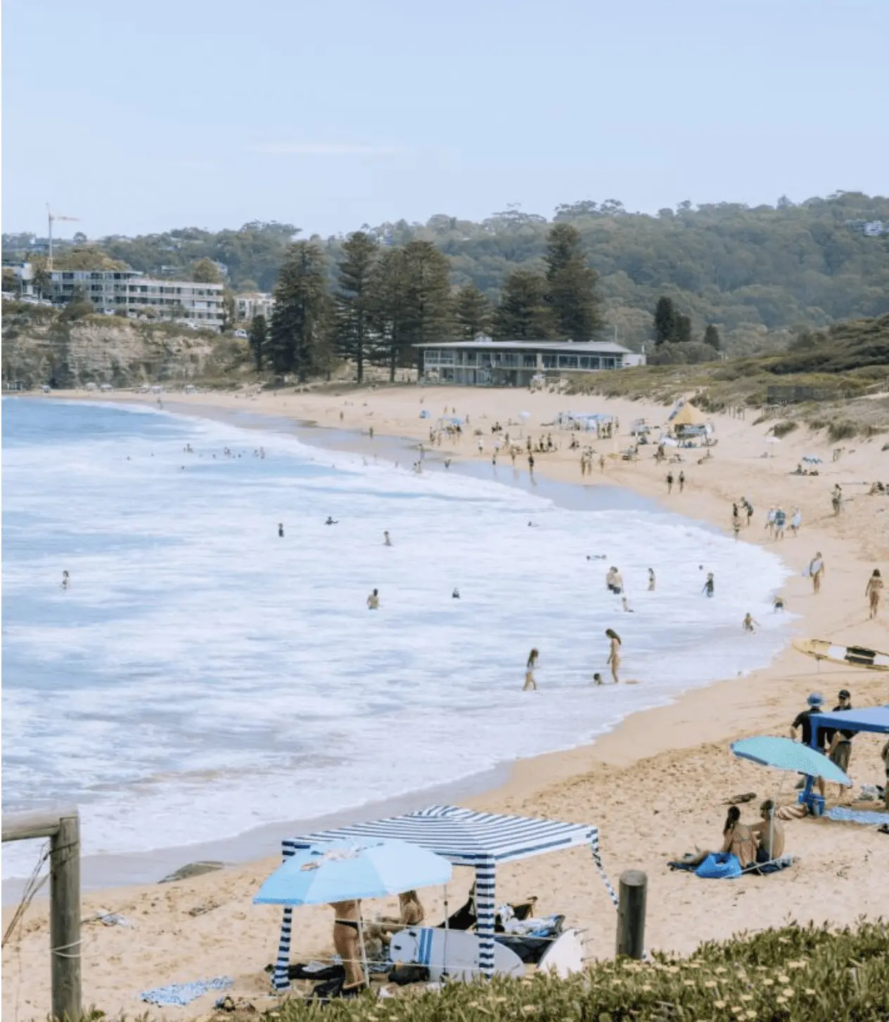 Avalon Beach Property